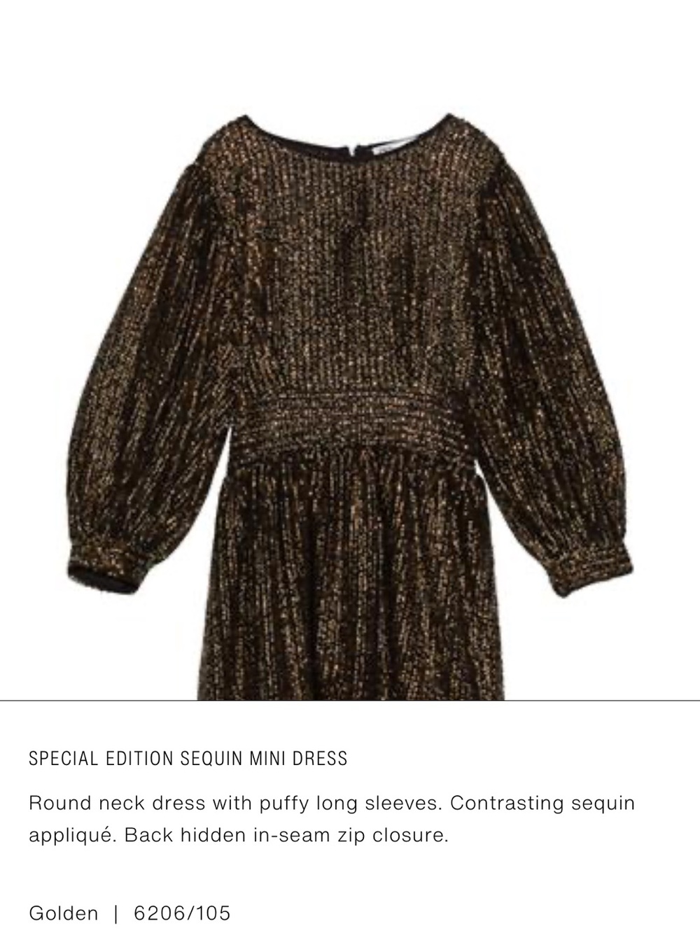 Zara Golden Sequin Dress